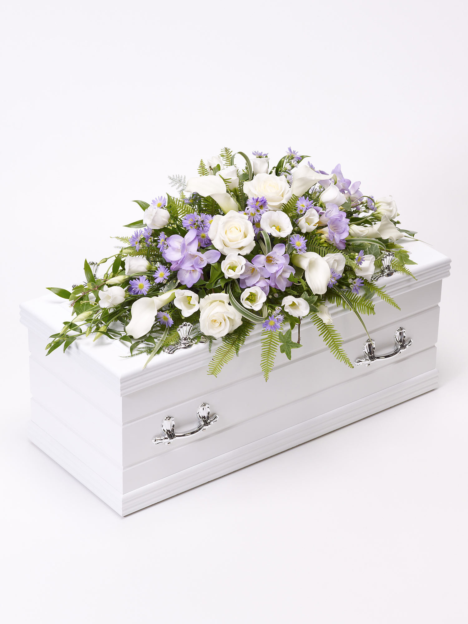 F13110BS.jpg
