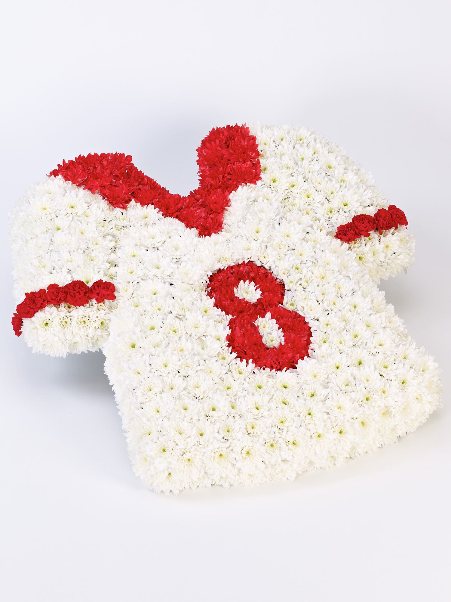 F13351MS-1.jpg