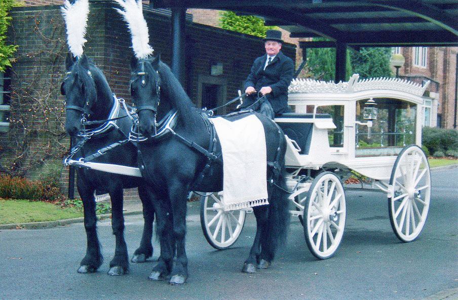 white carriage